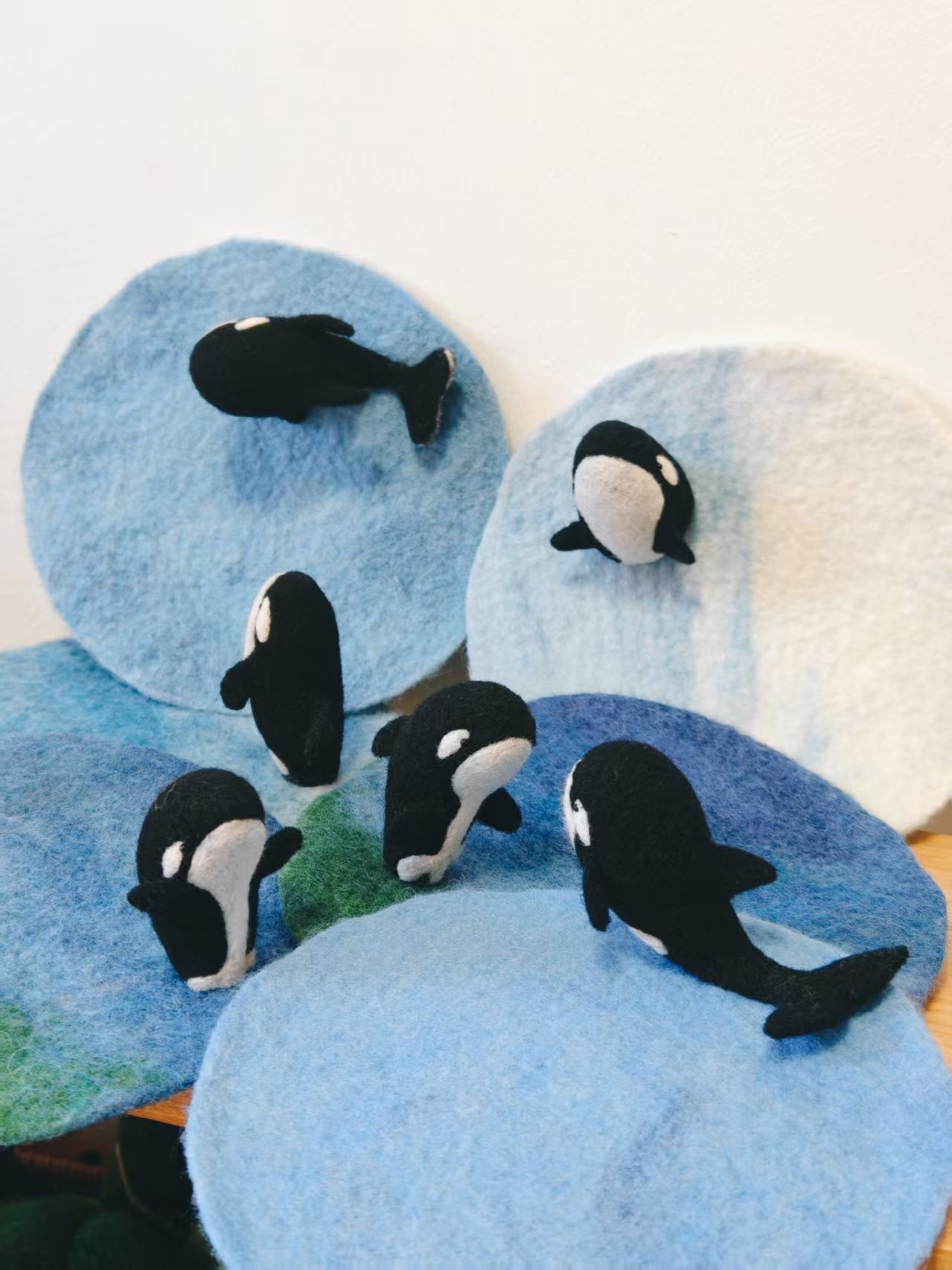 Three-Quarter Orca